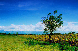 barangay 01.jpg